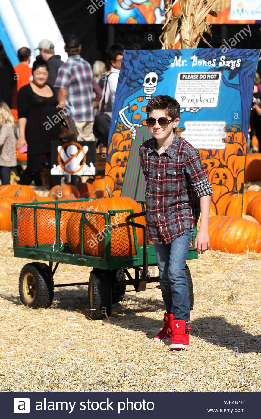 supra skytop pumpkin