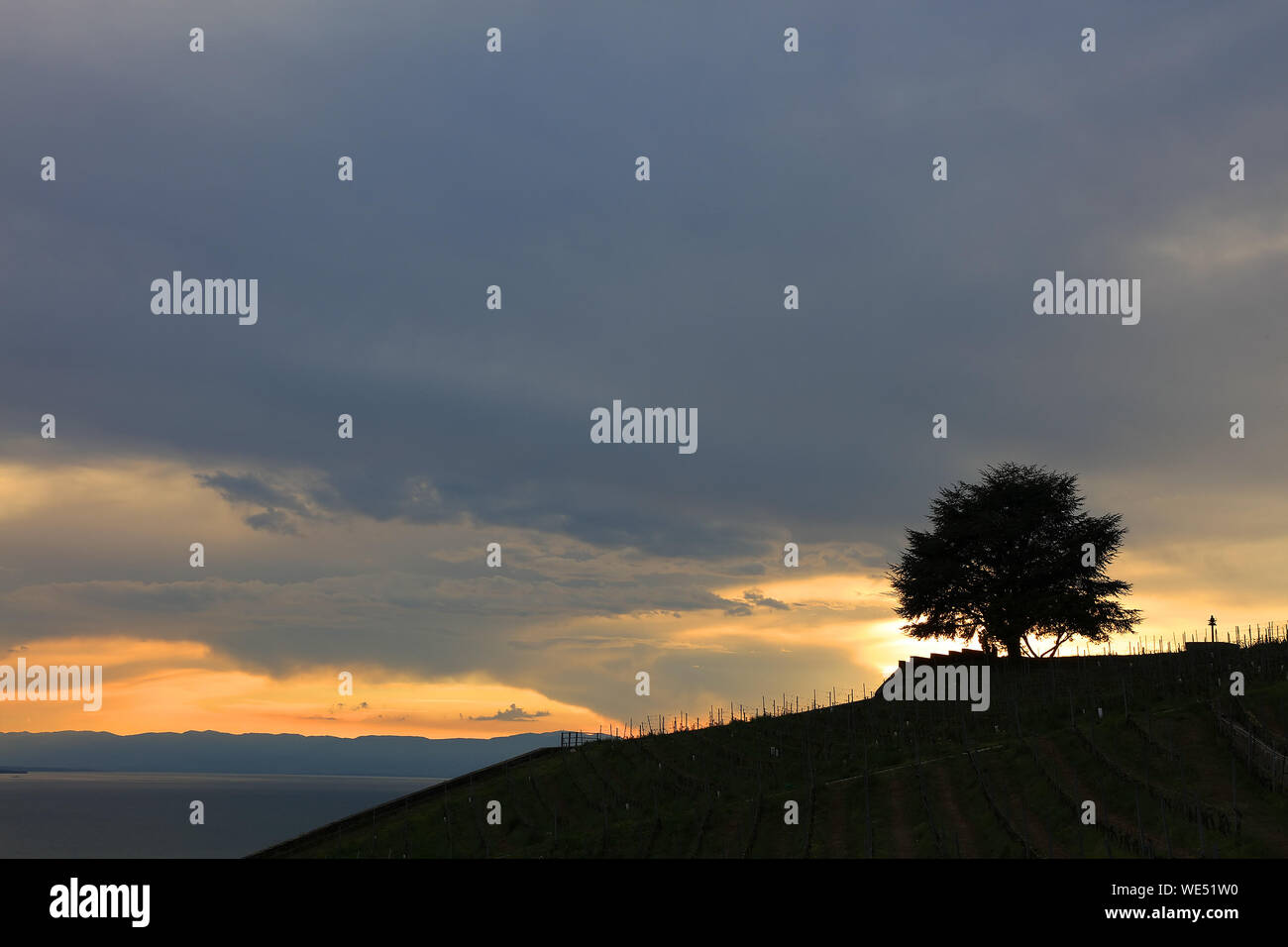 Silhouette Tree On Hill Against Cloudy Sky During Sunset Stock Photo