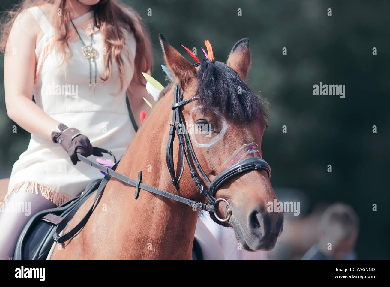 Painted Indian Horse High Resolution Stock Photography and Images - Alamy