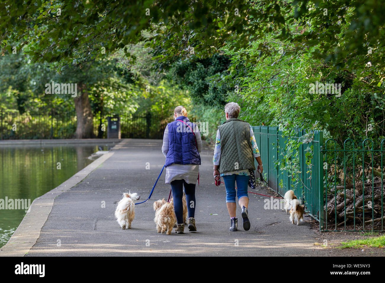 dog walking clothing uk