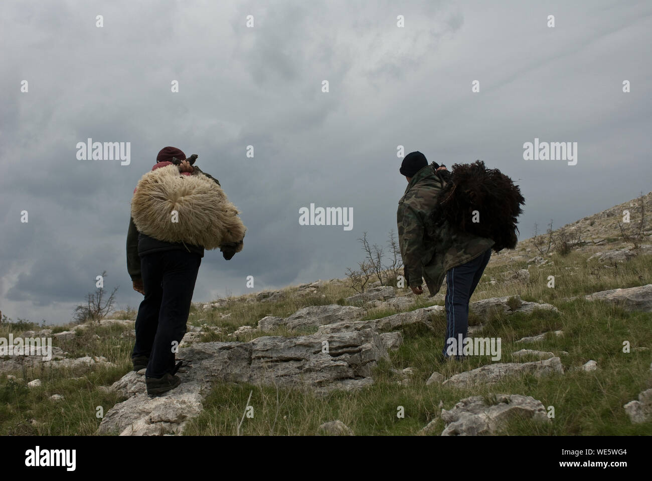 A man on a mountain top carries a sheep on his shoulder. Island of Kornat, Croatia Stock Photo