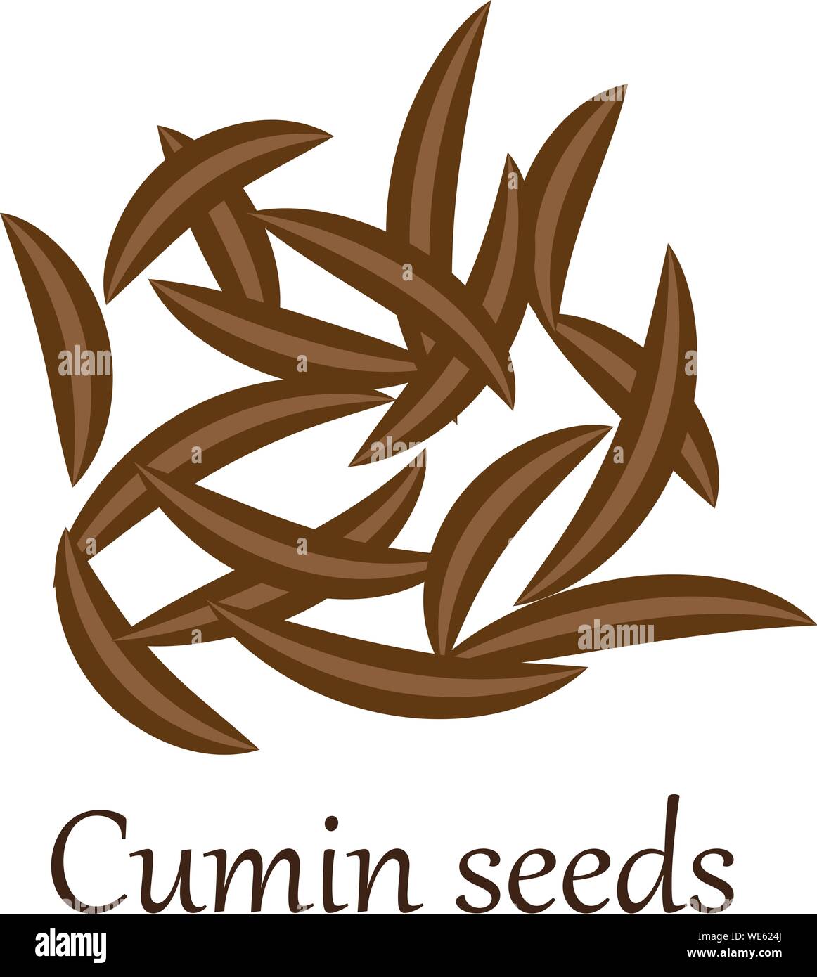 Cumin seeds vector illustration on a white background Stock Vector