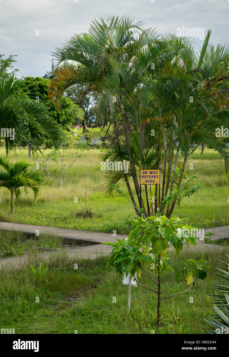 WiFi Hotspot sign attached to a tree on the University of Belize campus in Belmopan Stock Photo