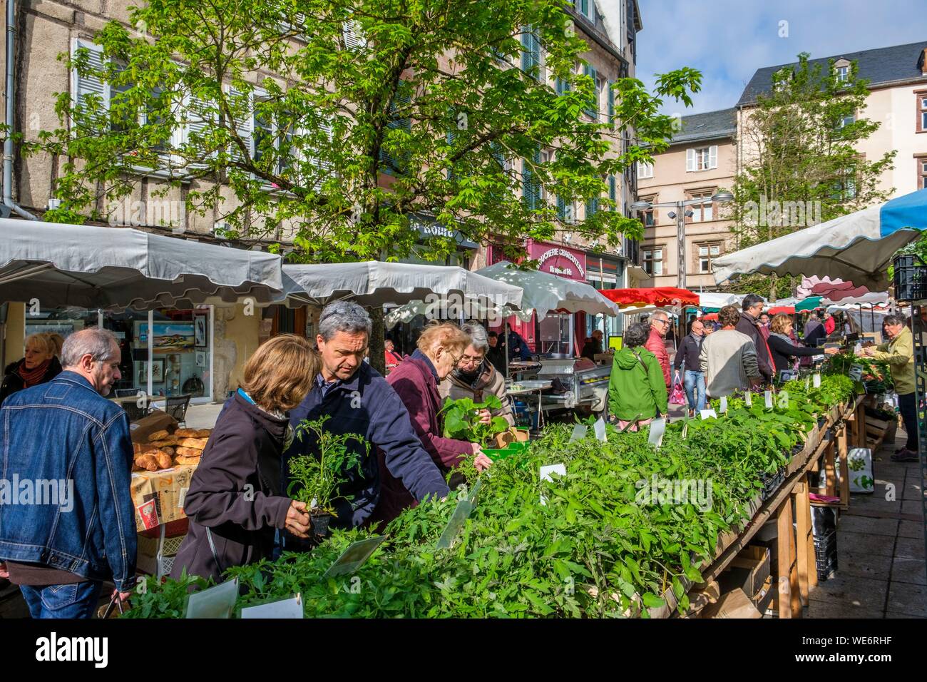 France, Aveyron, Rodez, Bourg square, market day, Bourg square Stock Photo