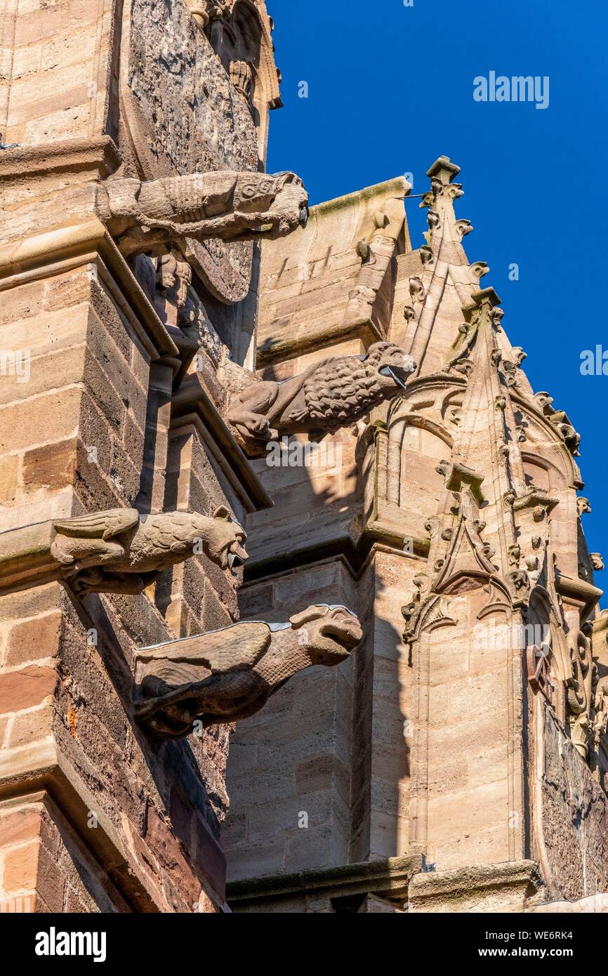 France, Aveyron, Rodez, gargoyles of Notre-Dame cathedral Stock Photo