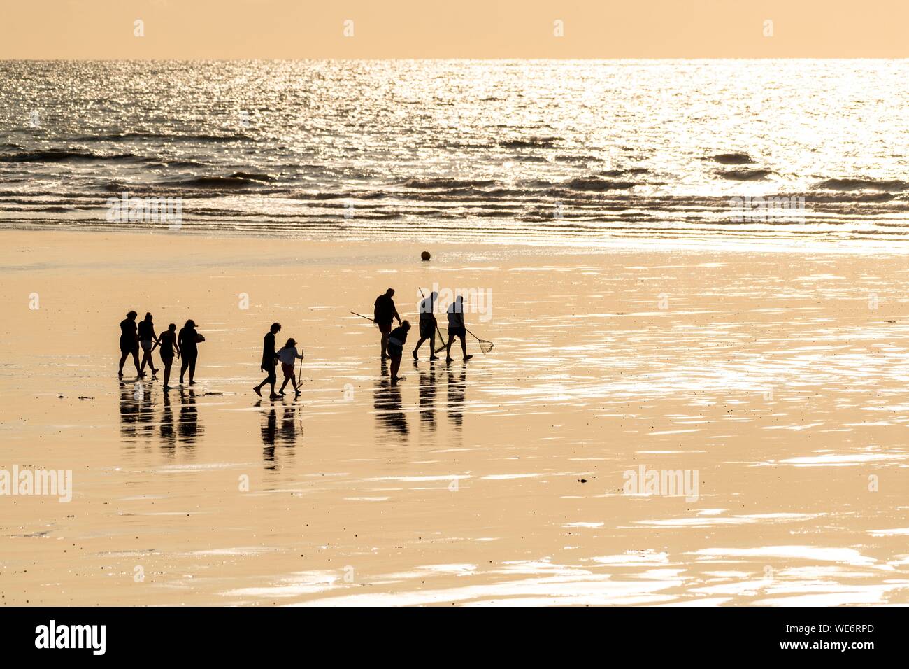 France, Somme, Ault, Gray shrimp fishermen on the beach of Ault with their big net Stock Photo