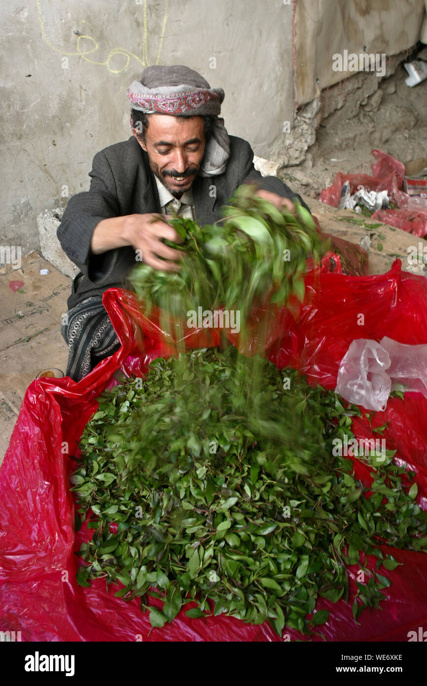 KHAT IN YEMEN Stock Photo