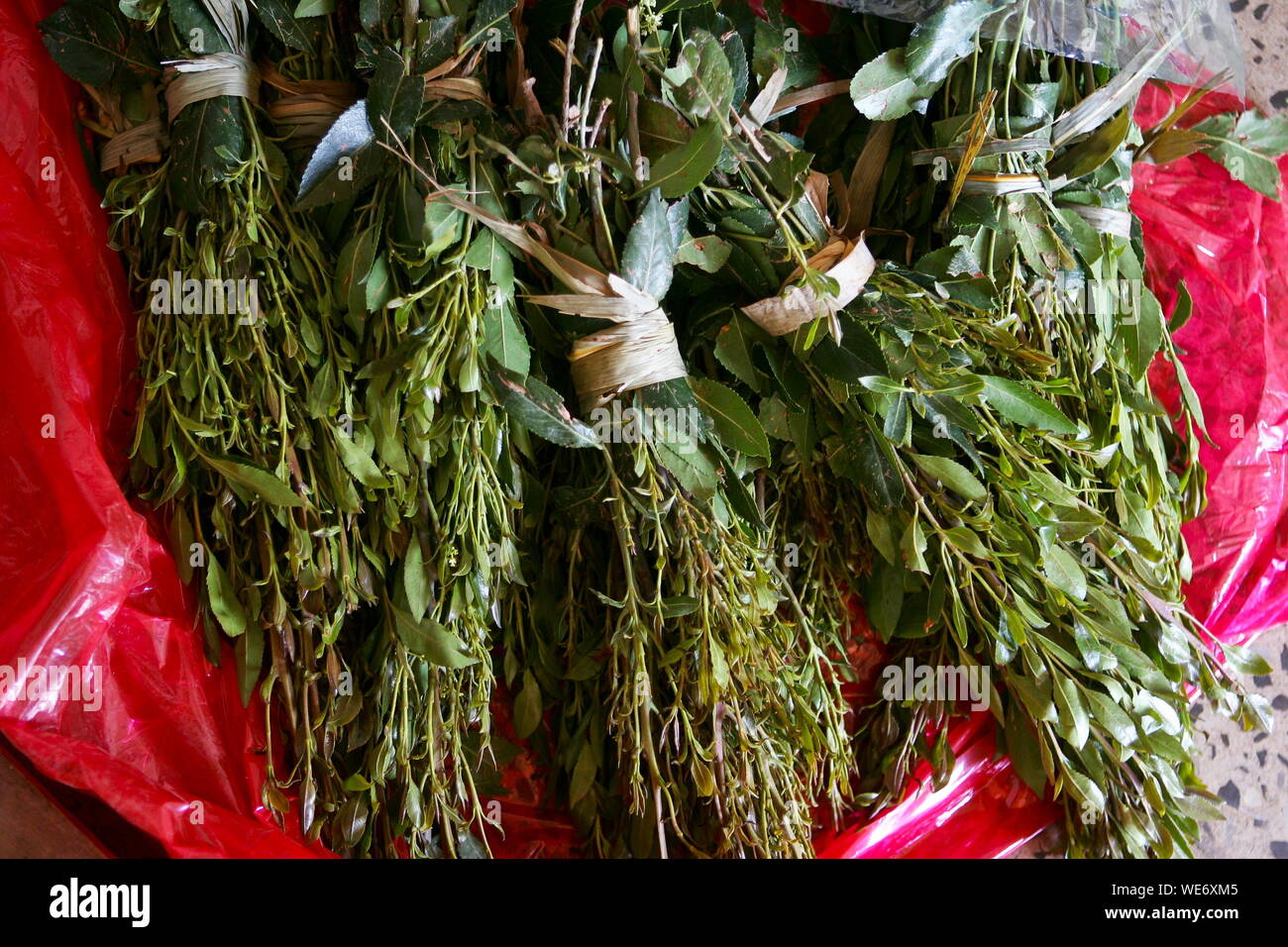 KHAT IN YEMEN Stock Photo