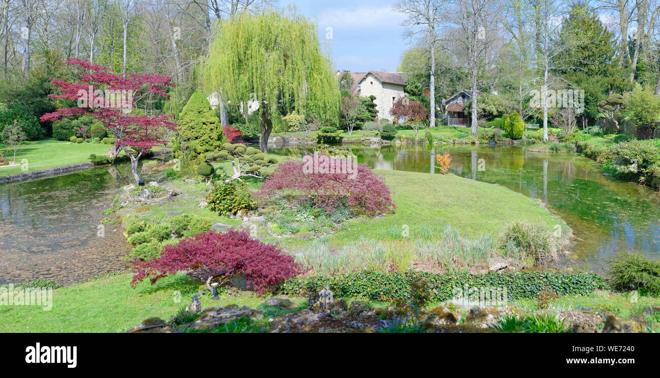 France, Essonne, regional natural reserve of French Gatinais, castle of Courances, the Japanese garden Stock Photo