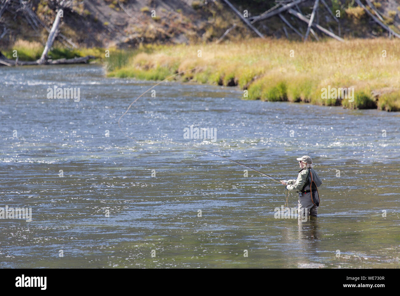 Fly Fishing, Yellowstone National Park. A woman fly fishing in the