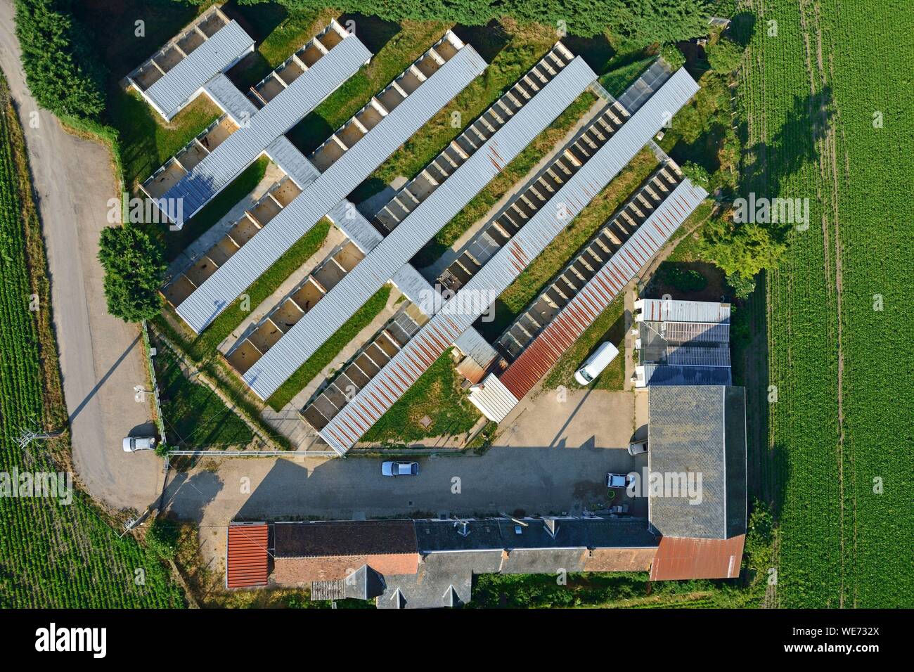 France, Loiret, Chilleurs aux Bois, Refuge for dog (aerial view) Stock Photo