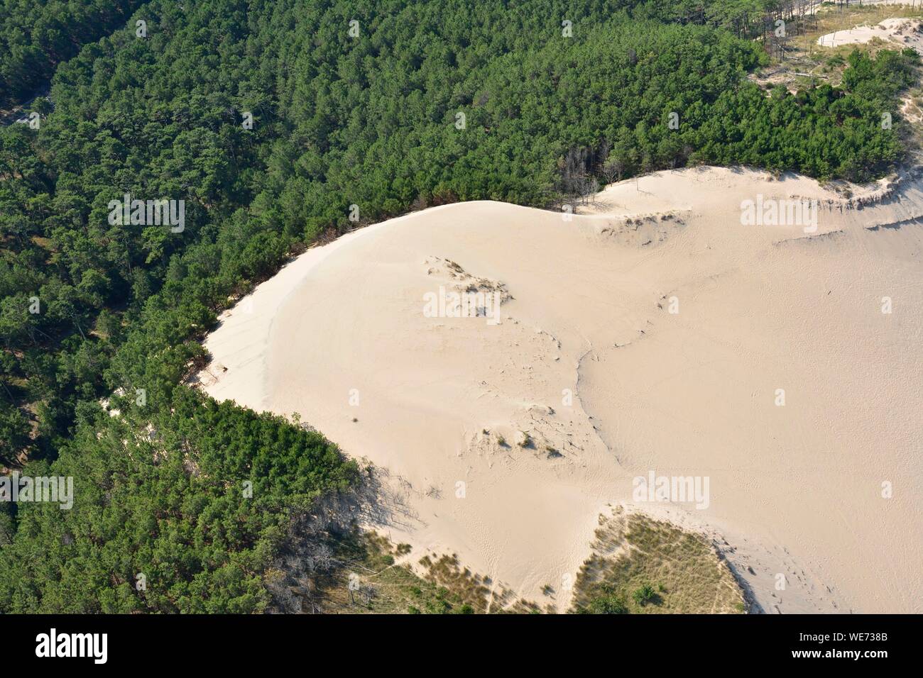 France, Gironde, Bassin d'Arcachon, Landes Forest, Dune du Pilat (the Great Dune of Pyla) (aeria view) Stock Photo