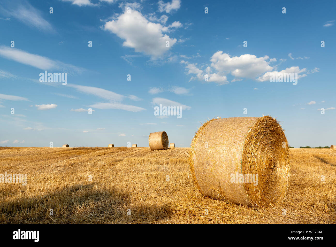 Hay bales after harvest on the field. Beautiful summer day Stock Photo ...