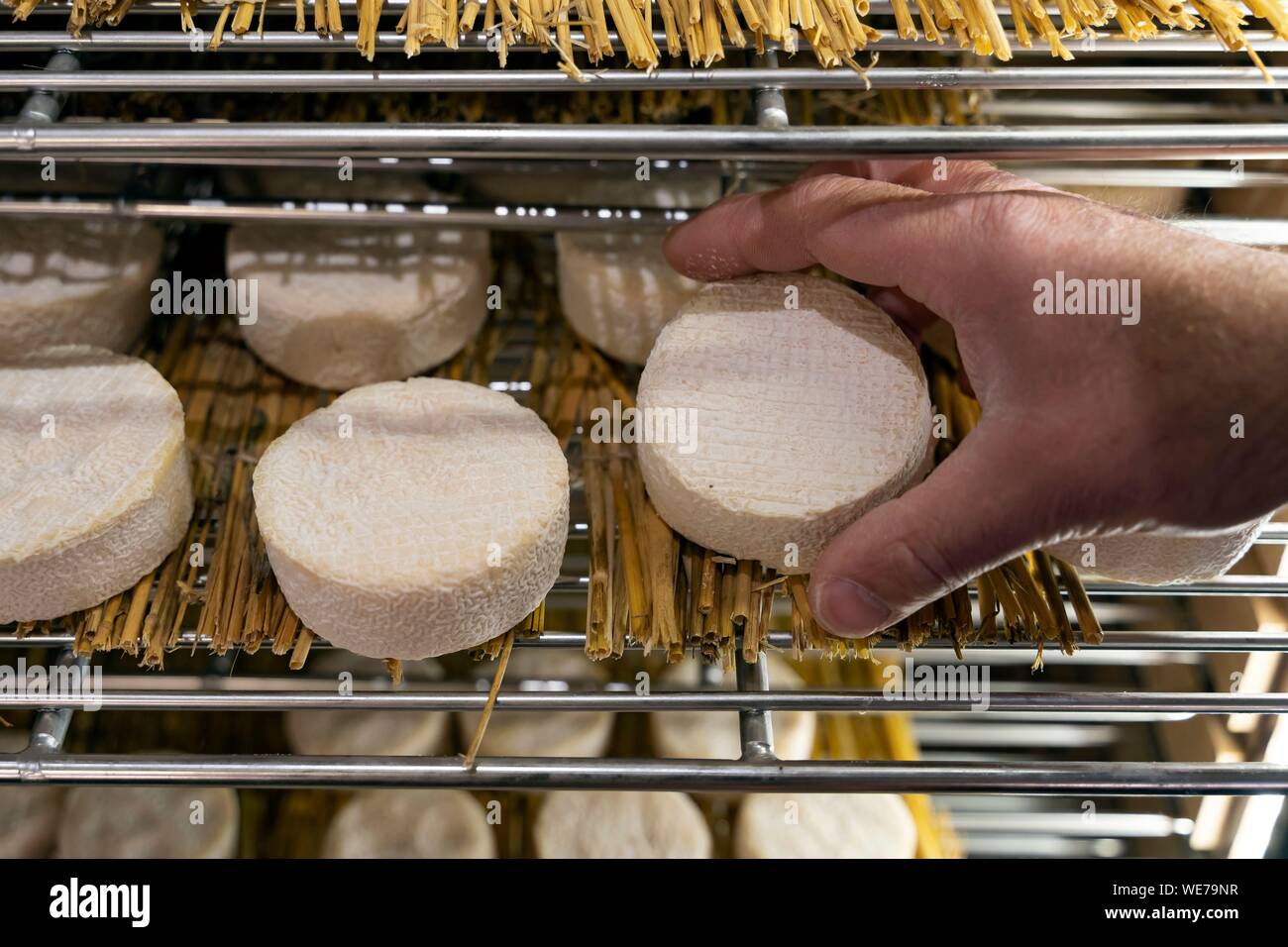 Cheese maker hi-res stock photography and images - Alamy