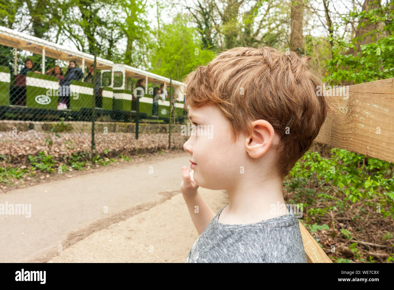 A young boy waves as the mini-railway goes past at Ruislip Lido, Greater London Stock Photo