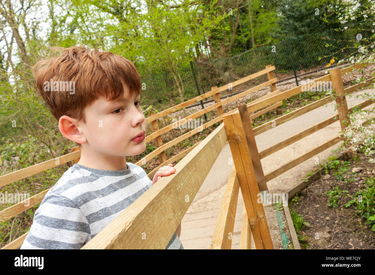 A young boy looking over a footbridge Stock Photo