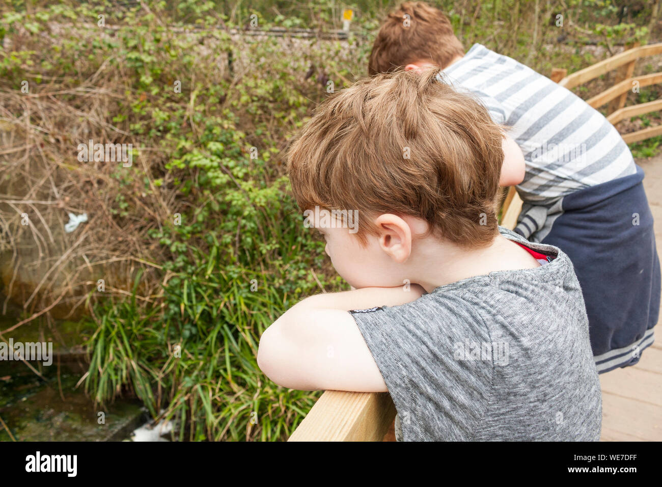 Two young boys looking over a footbridge in a stream Stock Photo