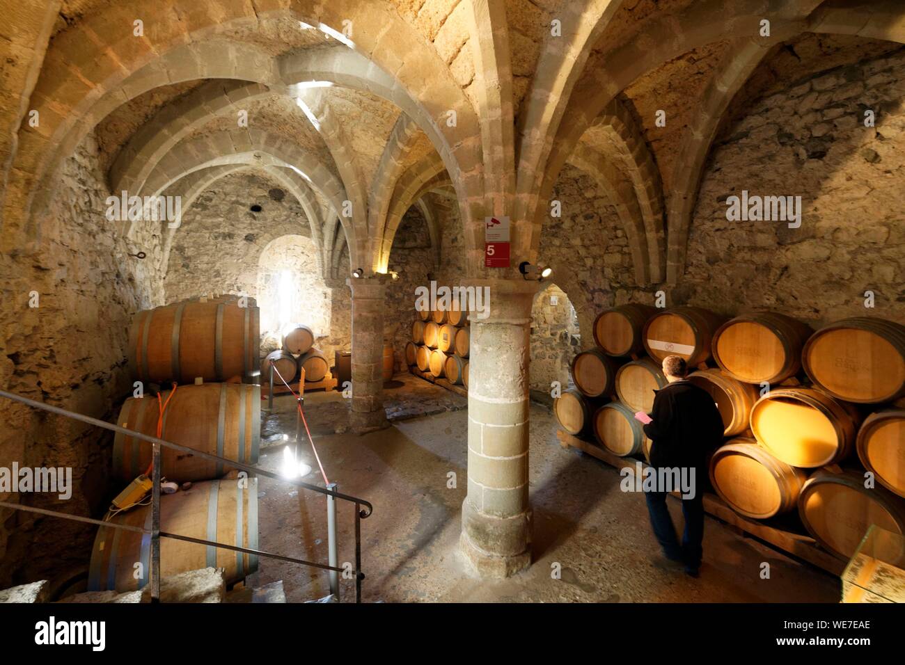 Suisse, Canton of Vaud, Lake Geneva, Veytaux, Chillon Castle at South Montreux, cellar and former prison Stock Photo