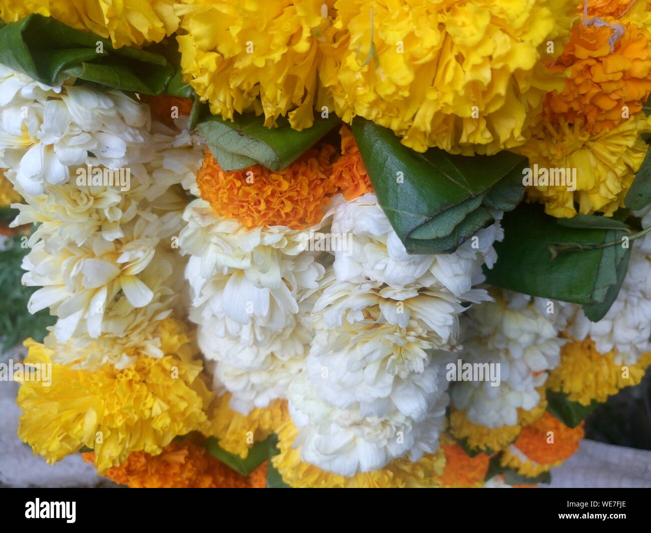 Marigold Garland High Resolution Stock Photography and Images Alamy