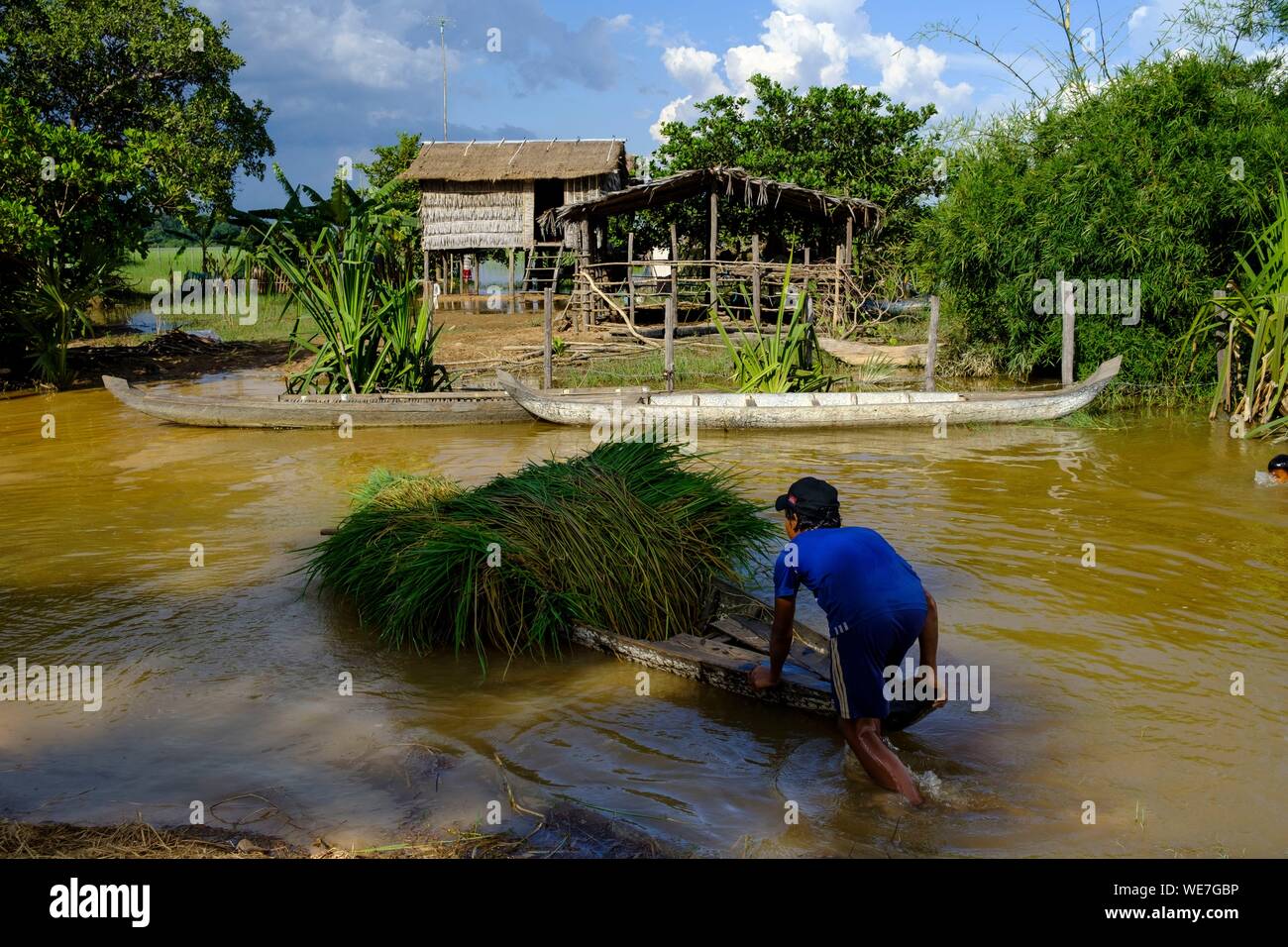Cambodia, Kompong Thom province, Kompong Thom or Kampong Thom, flooded village at monsoon time Stock Photo
