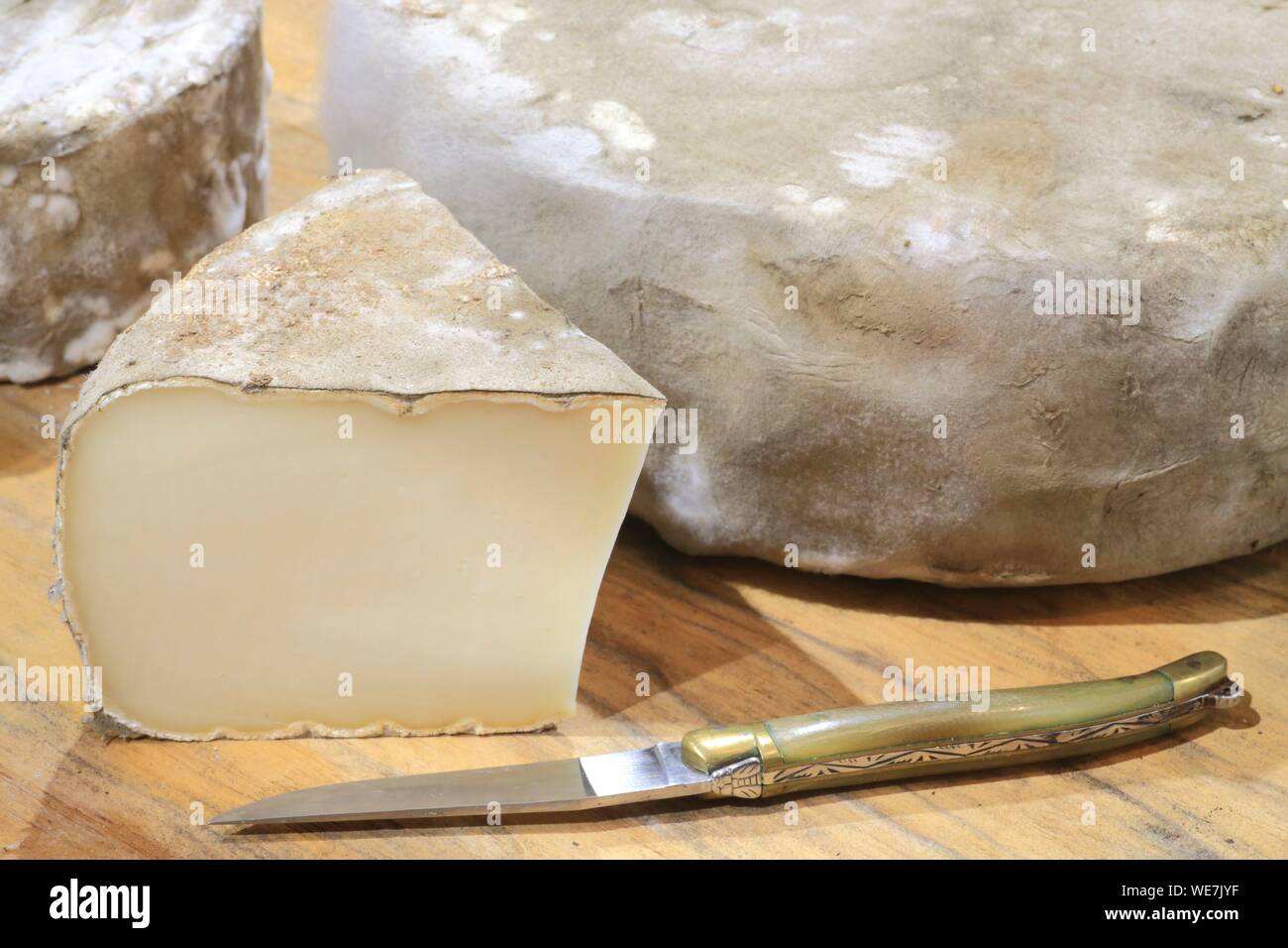 France, Tarn, Monts de Lacaune, Viane, Fabre Dairy, sheep tommes of the country (with a laguiole knife) Stock Photo