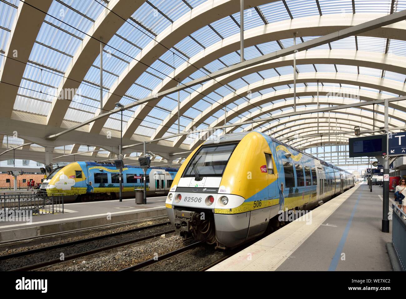 France, Marne, Reims, train station, yellow train and blue train parked along the docks Stock Photo