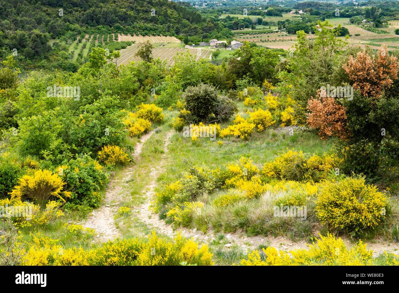 France, Vaucluse, regional Luberon park, Apt valley Stock Photo Alamy