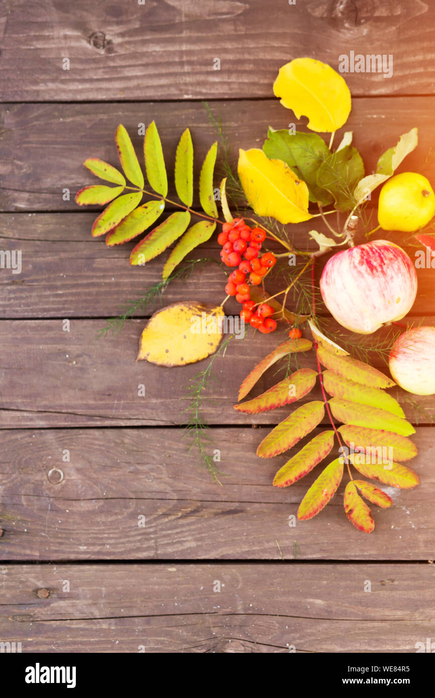 Beautiful autumn background with leaves and fruits for text Stock Photo ...