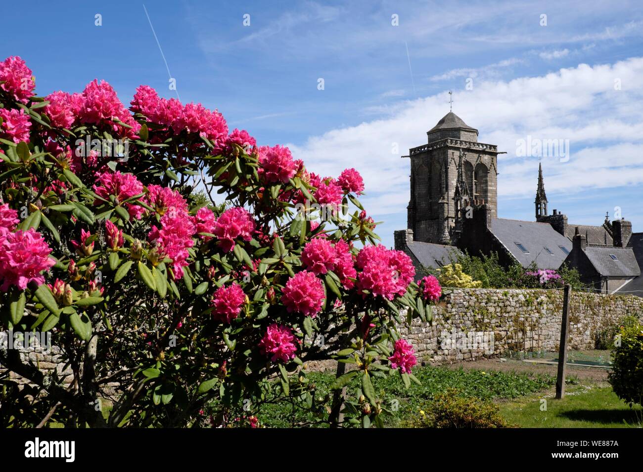 France, Finistere, Locronan, church; house, labelled Les Plus Beaux Villages de France (The Most beautiful Villages of France), rhododendron in bloom Stock Photo