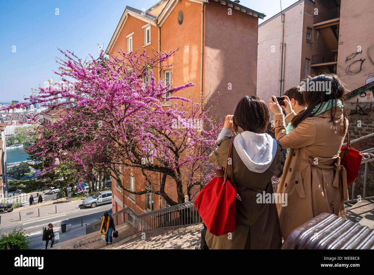 France, Rhone, Lyon, historic district listed as a UNESCO World Heritage site, Les Pentes de La