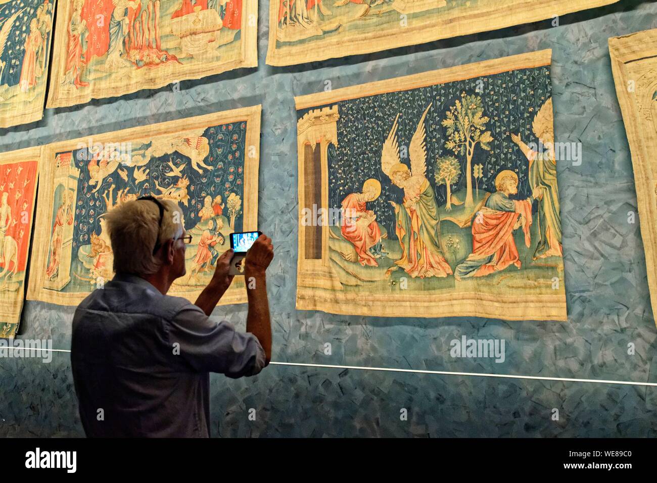 France, Maine et Loire, Angers, the castle of the Dukes of Anjou built