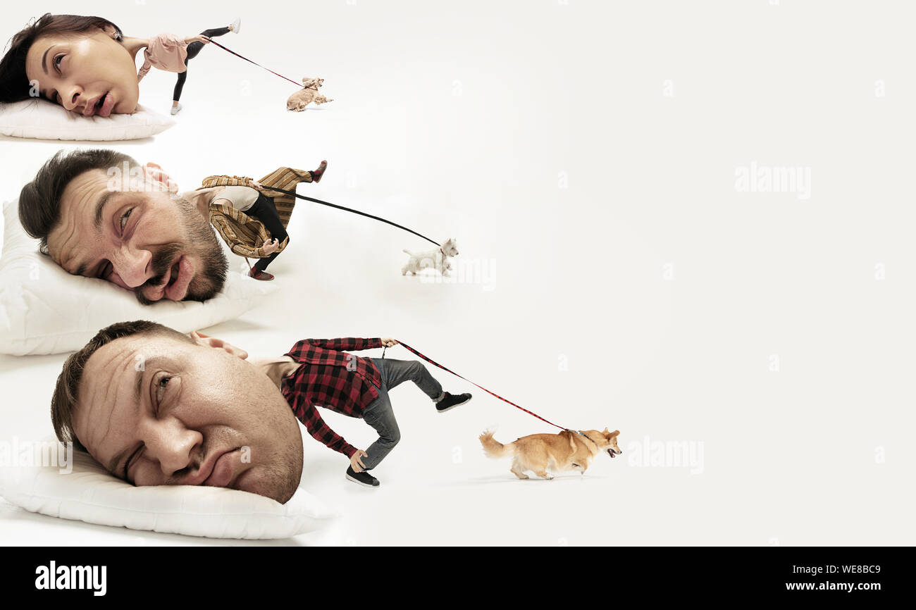 Wake me up 2024 in 5 minutes