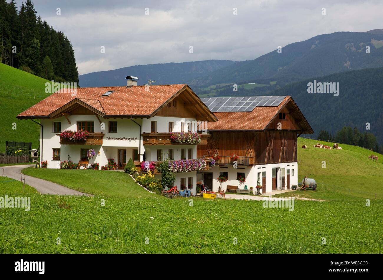 Italy, autonomous province of Bolzano, Val Pusteria, alpine chalet surrounded by pastures in the middle of the mountains Stock Photo