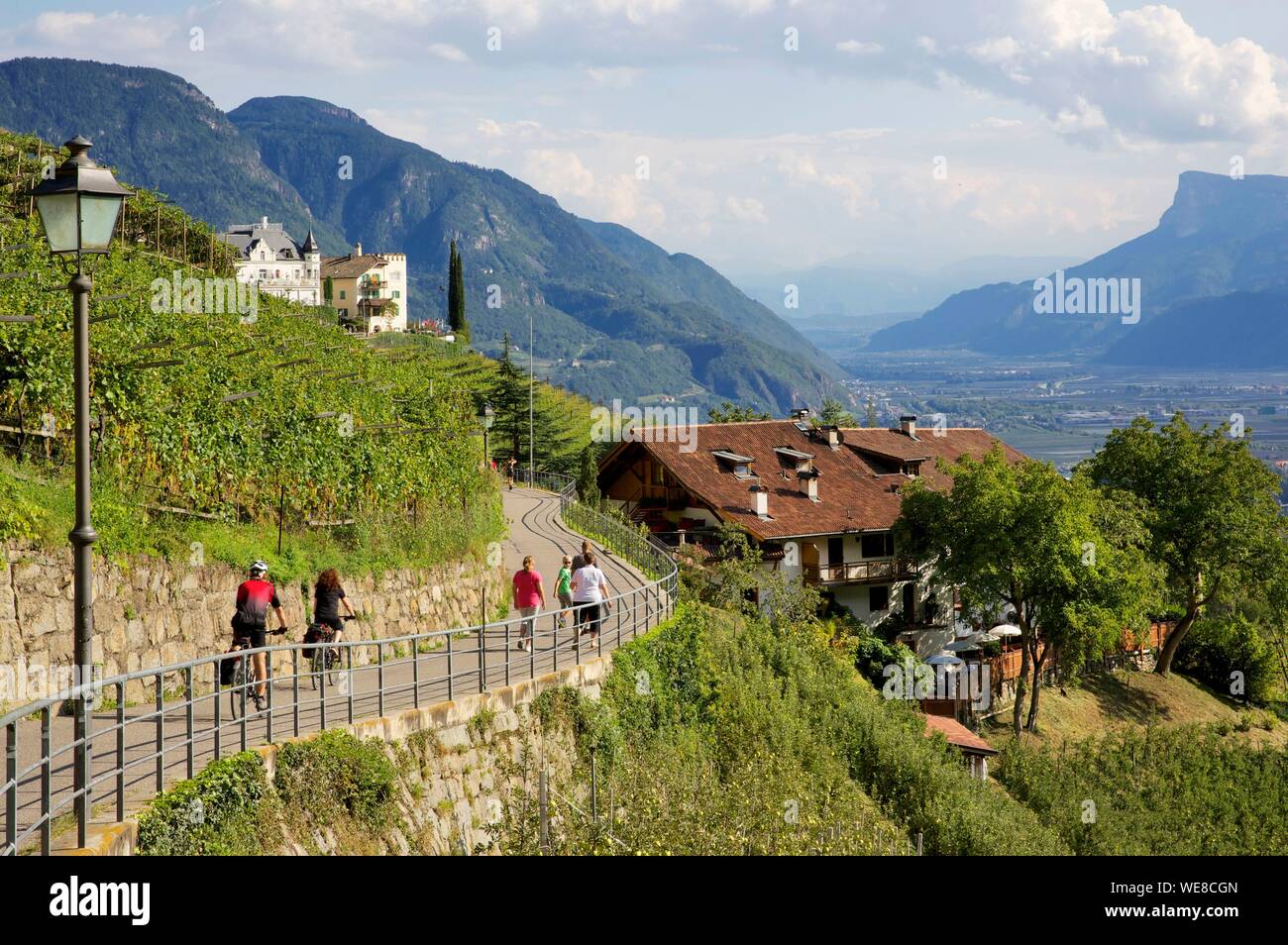 Italy, autonomous province of Bolzano, Tirol, hikers and cyclists on the trail leading from the Tyrol Castle to the village of Tirol which gave its name to the Tyrol region Stock Photo