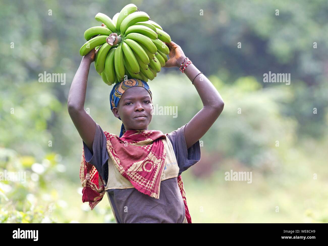 Burundi, Vyanda Nature Reserve in the bututsi, Burubunch of bananas Stock Photo