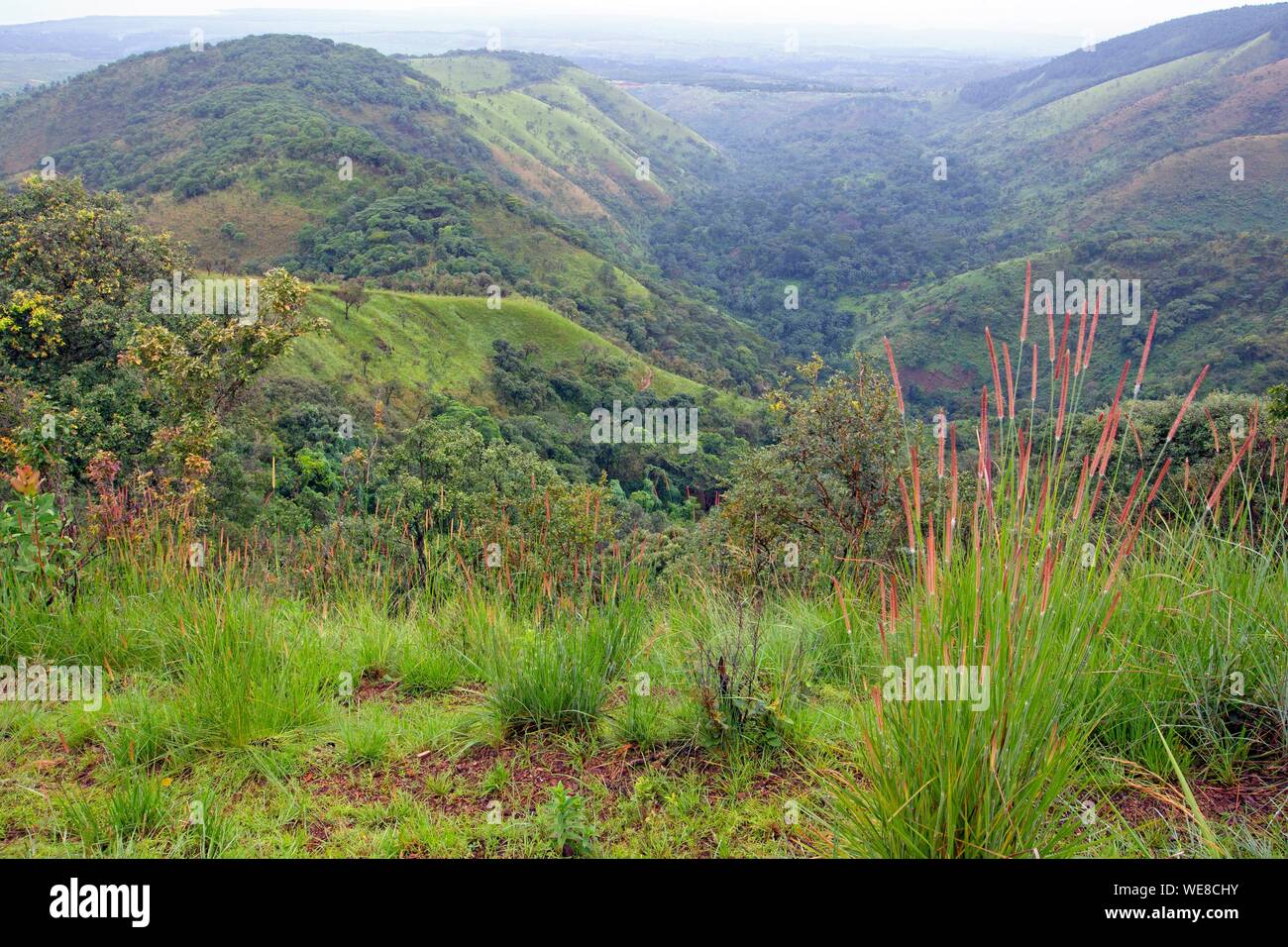 Burundi, Vyanda Nature Reserve in the bututsi Stock Photo