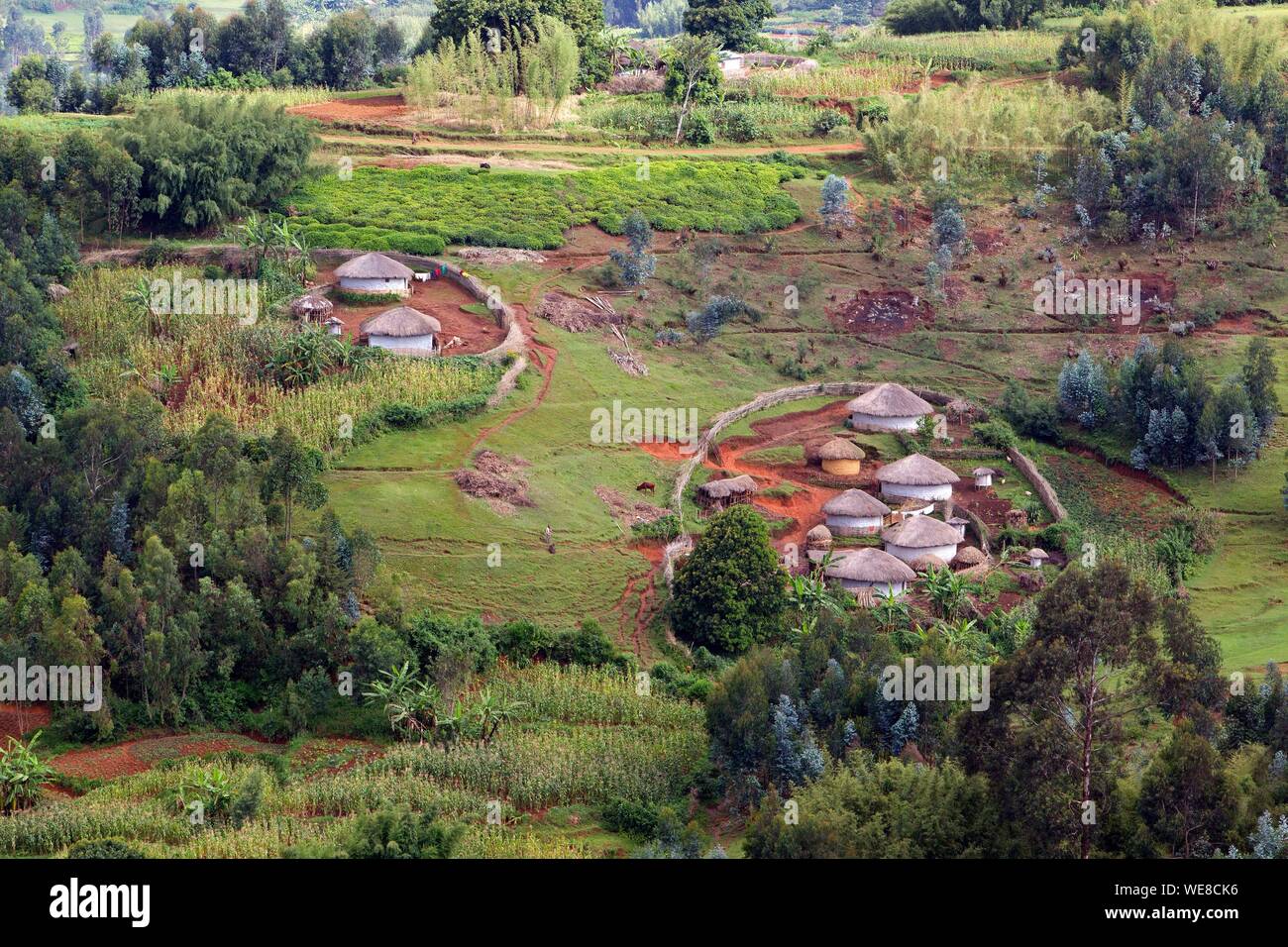 Burundi, Mugamba, Trays, country with a thousand hills, traditional rugos habitat Stock Photo