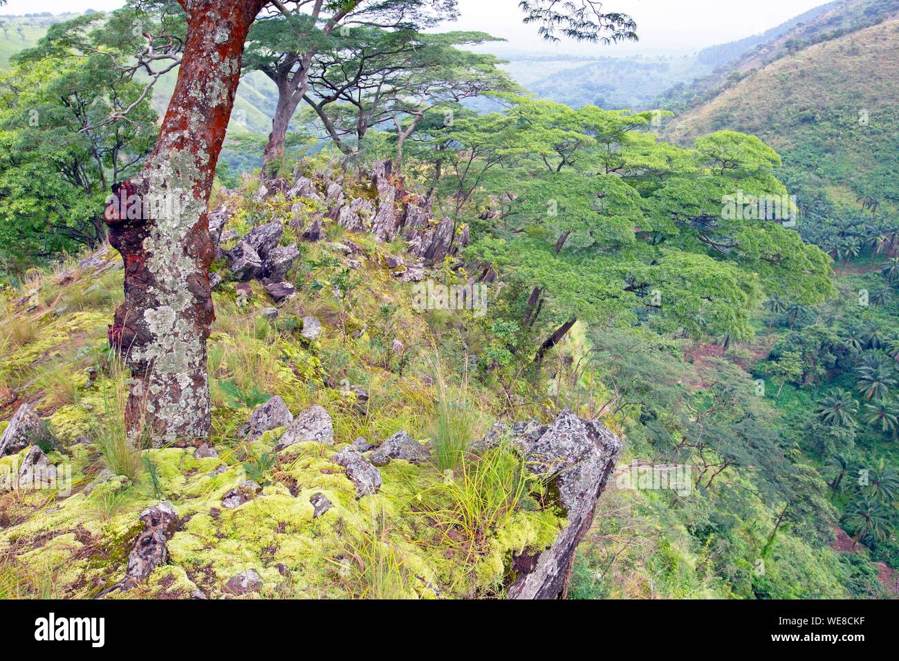 Vyanda Nature Reserve in the bututsi Stock Photo - Alamy