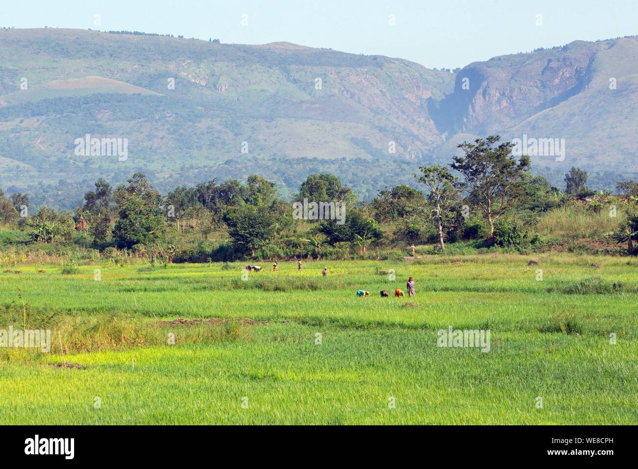 Burundi People High Resolution Stock Photography And Images Alamy