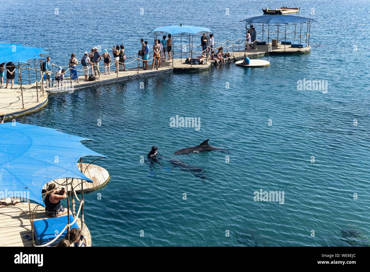 Israel, South District, Eliat, dolphins diving center Stock Photo
