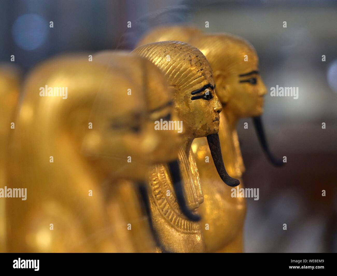 Egypt, Cairo, Egyptian Museum Cairo, detail of the burial chamber of Tutankhamun Stock Photo
