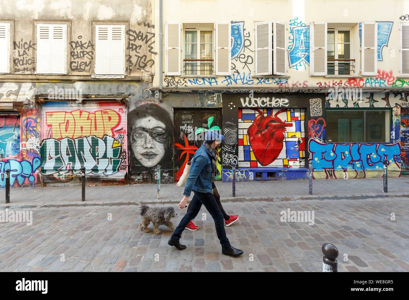 France, Paris, street art, graffitis and murals in Rue Denoyez Stock Photo