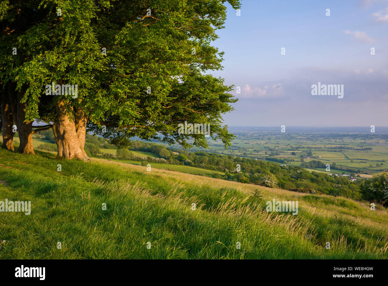 The view from Draycott Sleights in the Mendip Hills National Landscape over the Somerset Levels, England. Stock Photo