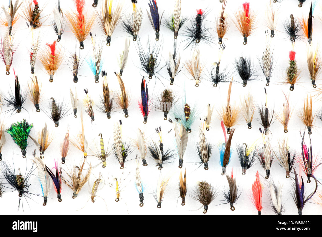 A selection of Traditional Trout Fishing Flies in Fly Box Stock Photo Alamy