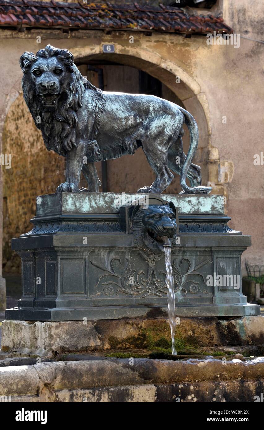 France, Haute Saone, Jussey, rue Charles Bontemps, la fontaine du Lion Stock Photo