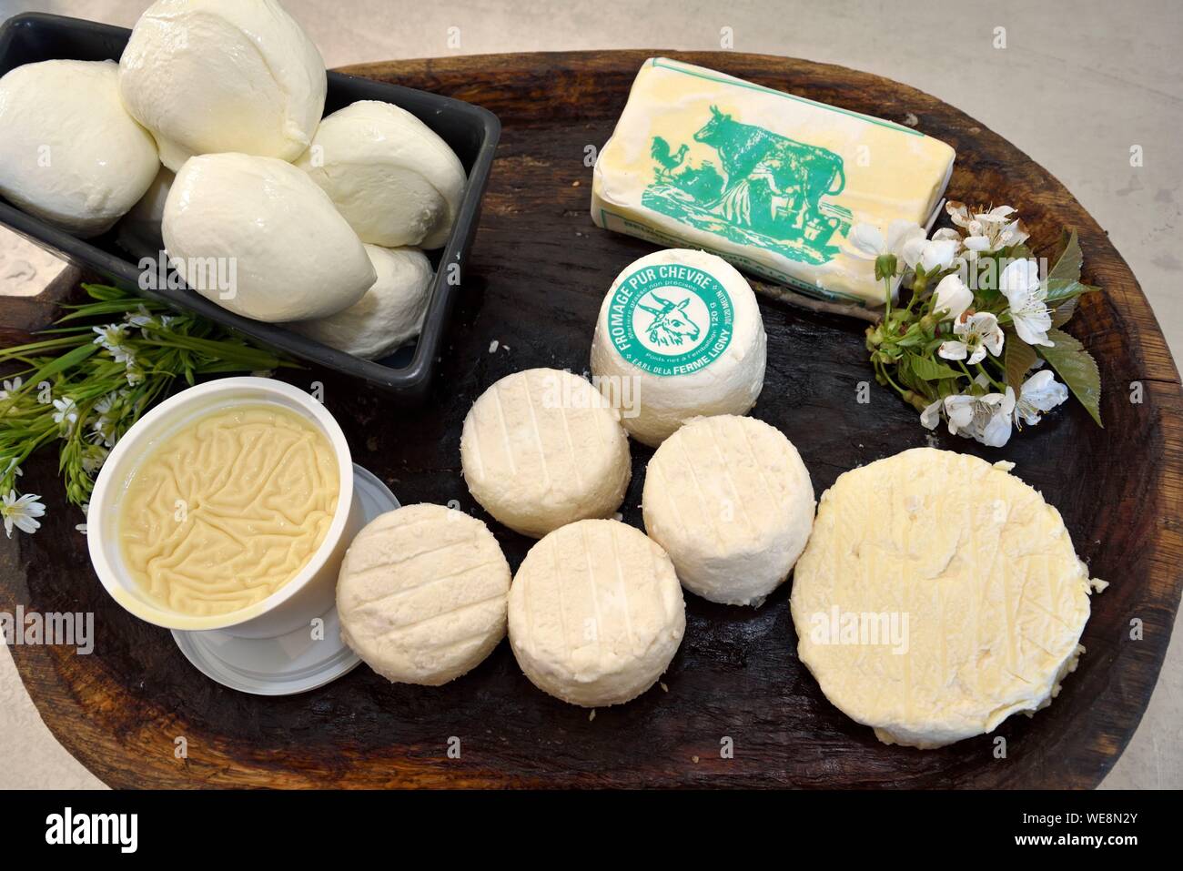 France, Haute Saone, Melin, Ligny farm, dairy products, mozzarella with buffalo  milk, goat cheese, cancoillotte and cow's milk butter Stock Photo - Alamy