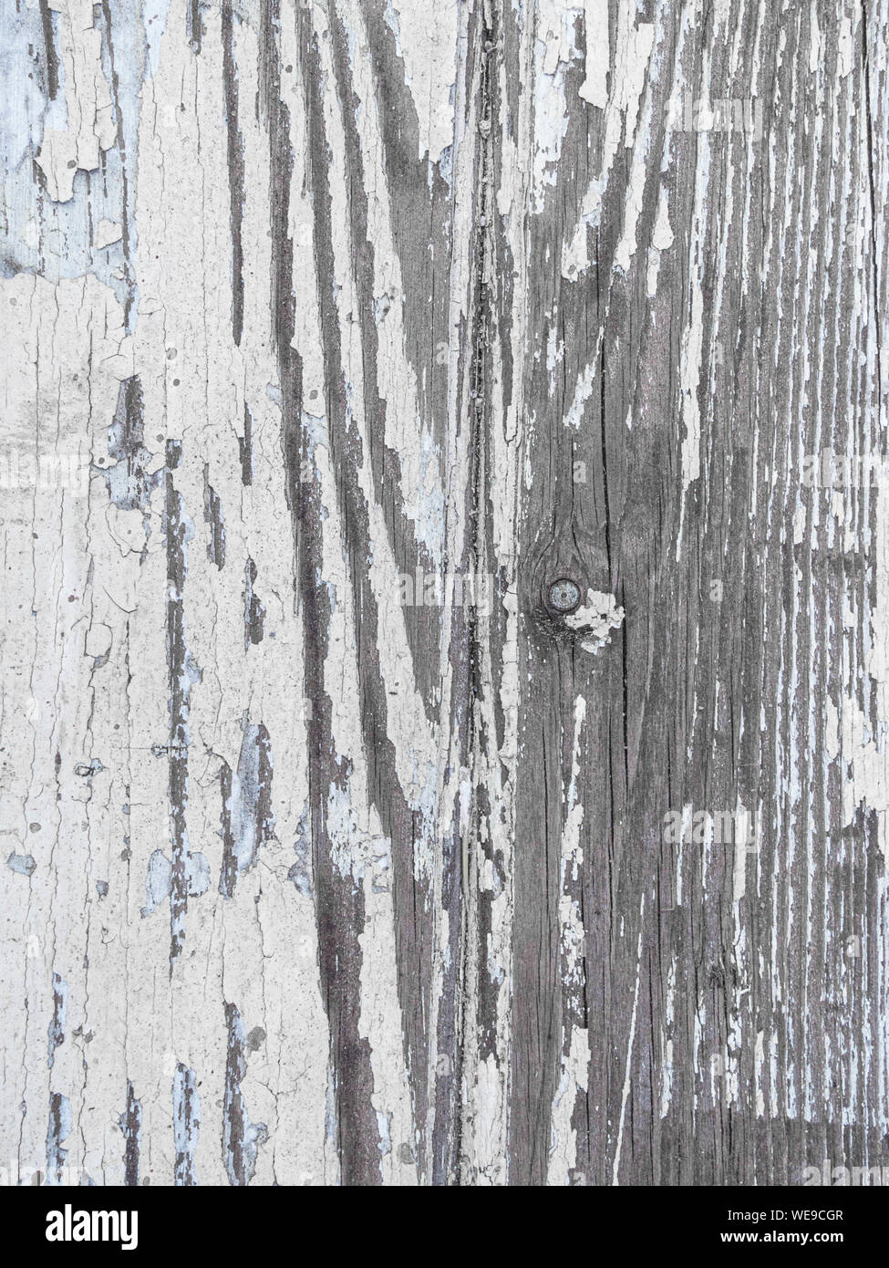 grunge wood background with white peeling paint Stock Photo - Alamy