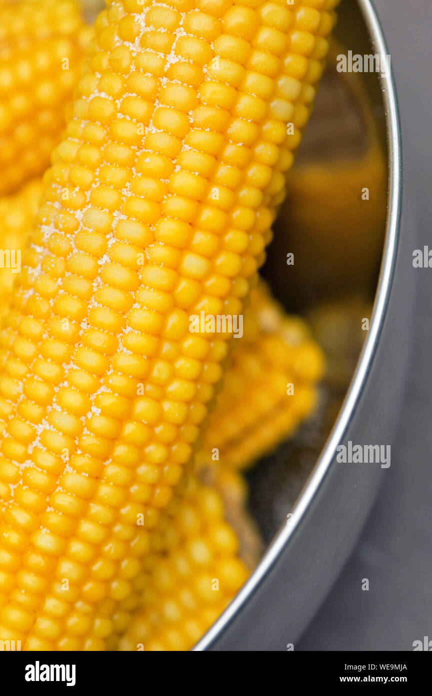Fresh steamed corn and salt Stock Photo