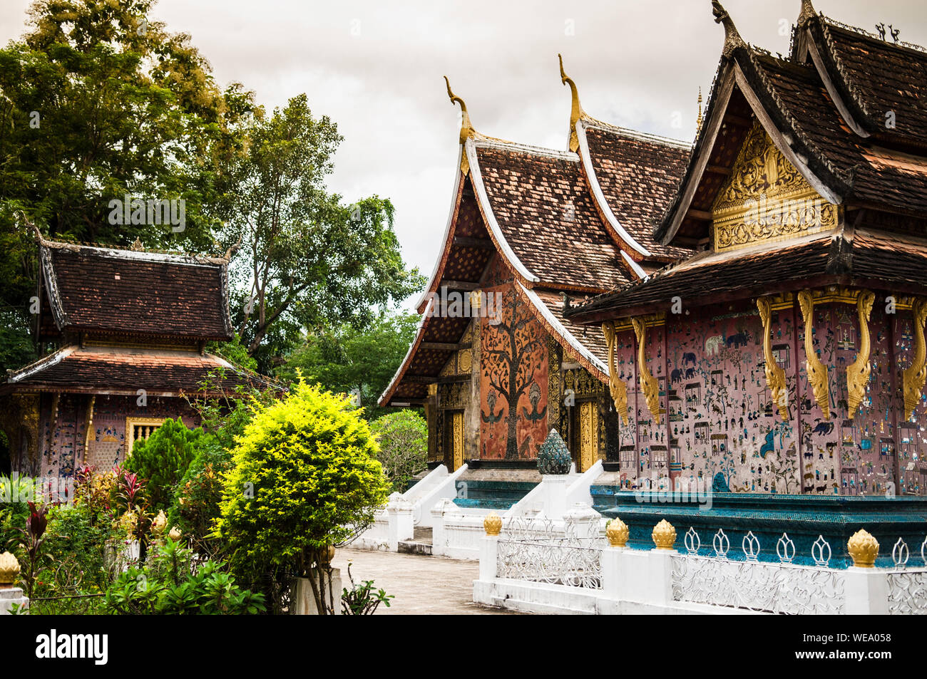 Xieng Tree A tree of life mural art was set in colored glass mosaics at Wat Xieng ...