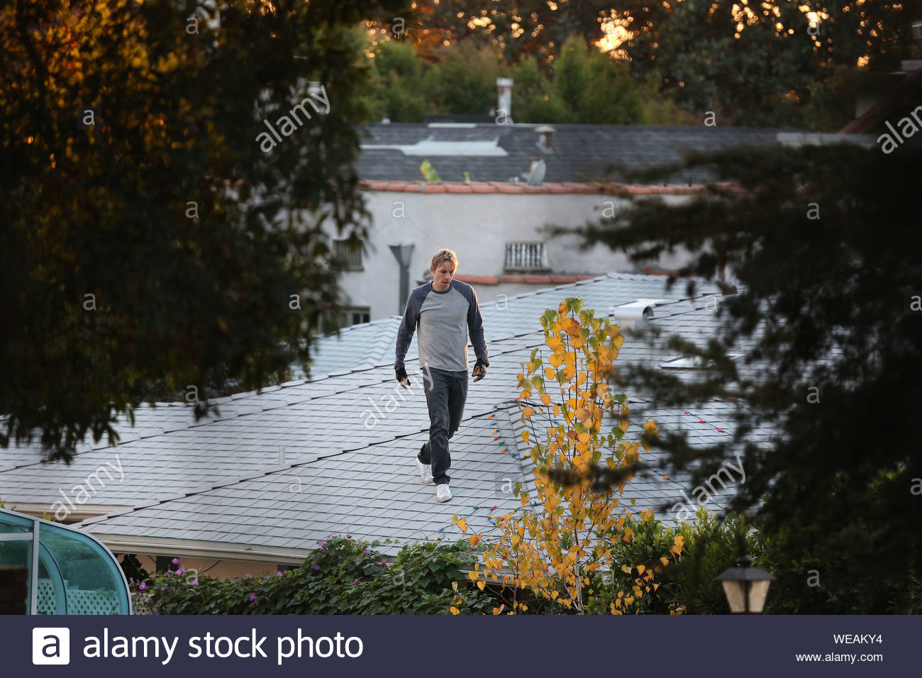 Los Feliz Ca Dax Shepard Decorates He And Kristen Bell S Home With Christmas Lights As Kristen